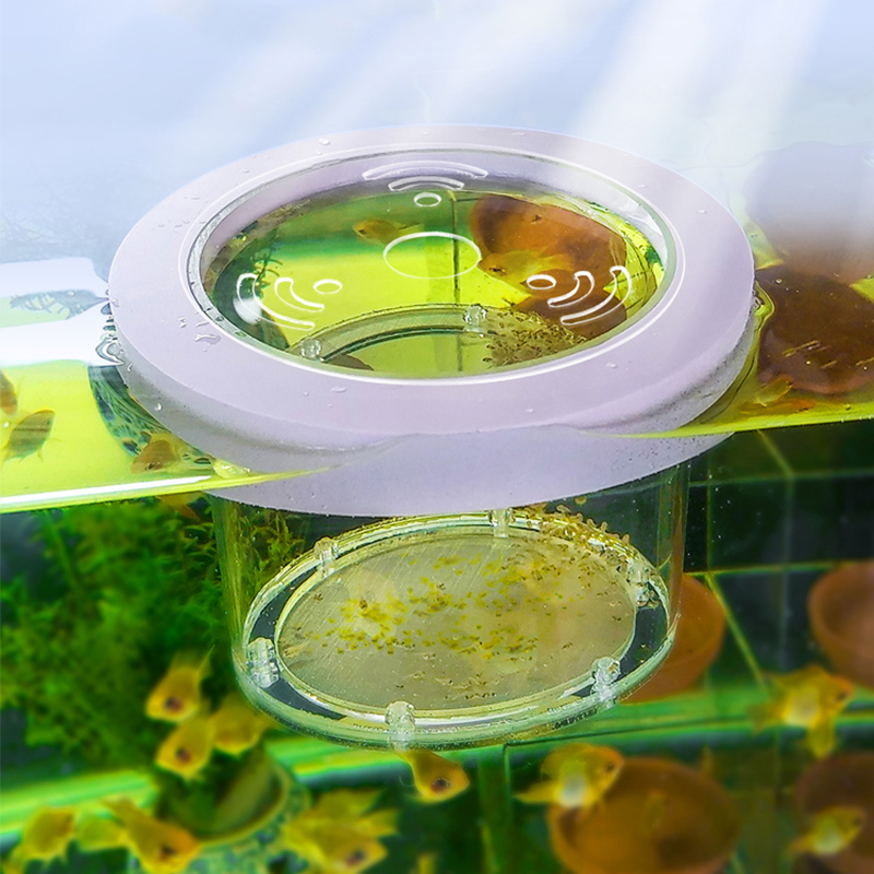 Aquarium Fish And Supplies - Подвесной изоляционный ящик для разведения аквариума,
