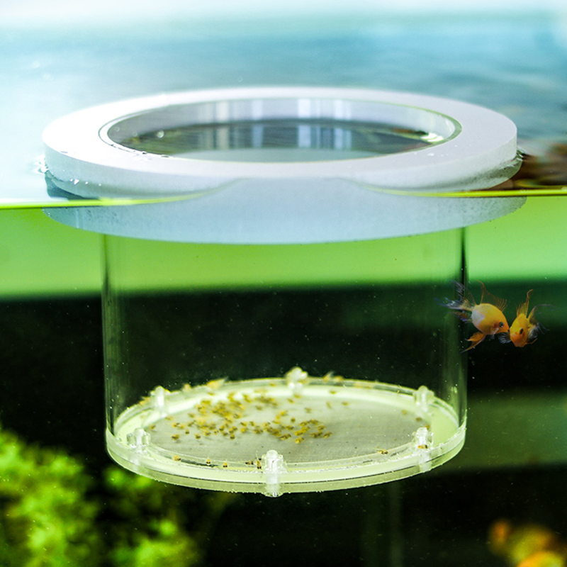 Подвесной изоляционный ящик дл – обзор и цена Aquarium Fish And Supplies