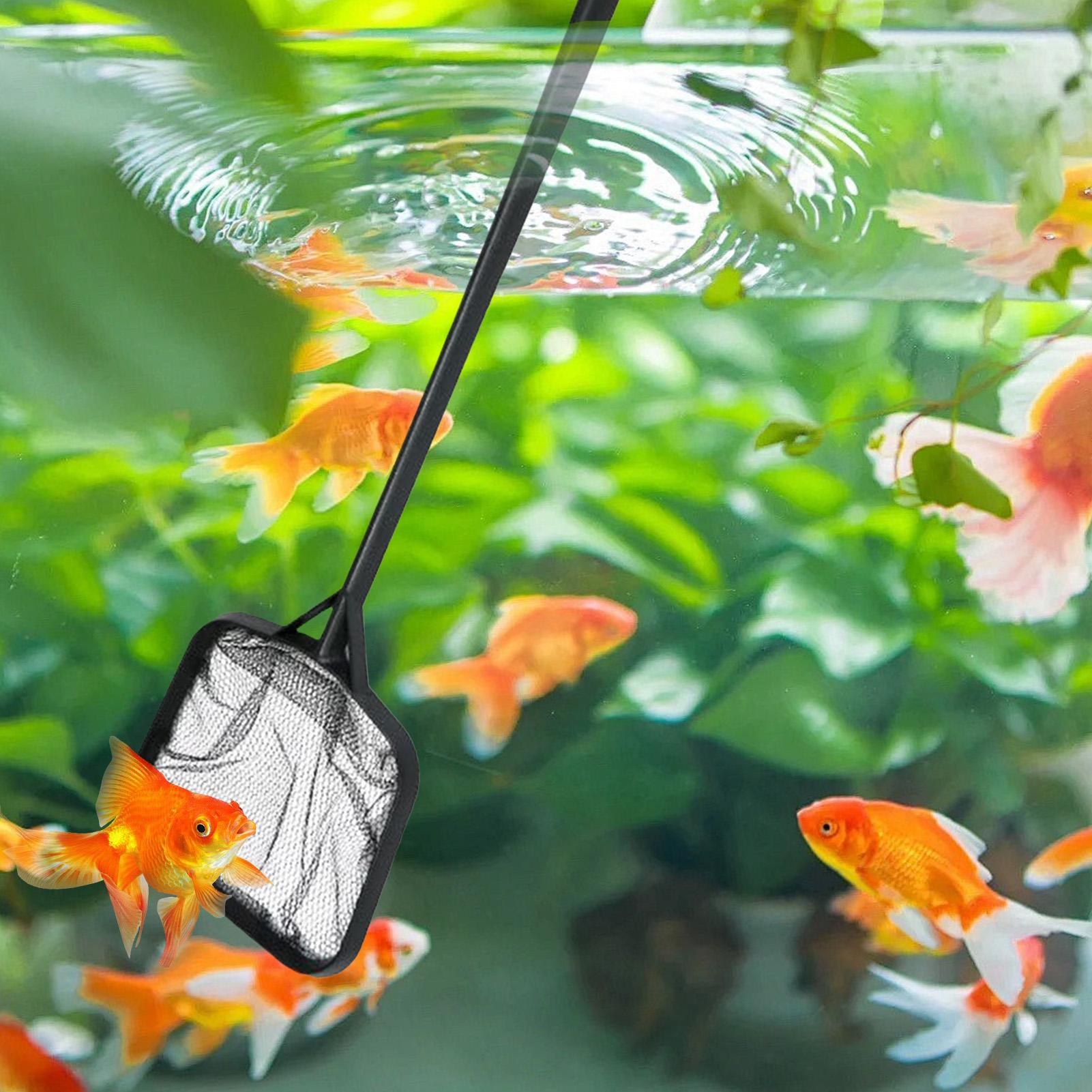 Сетки для чистки бассейнов, по – обзор и цена Aquarium Fish Accessories