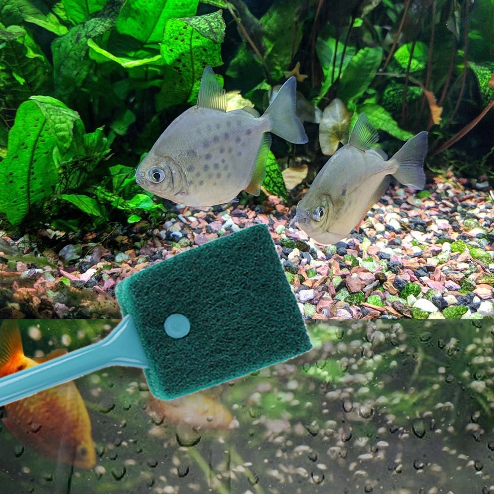 Двусторонняя губка для чистки  – обзор и цена Aquarium Fish Accessories