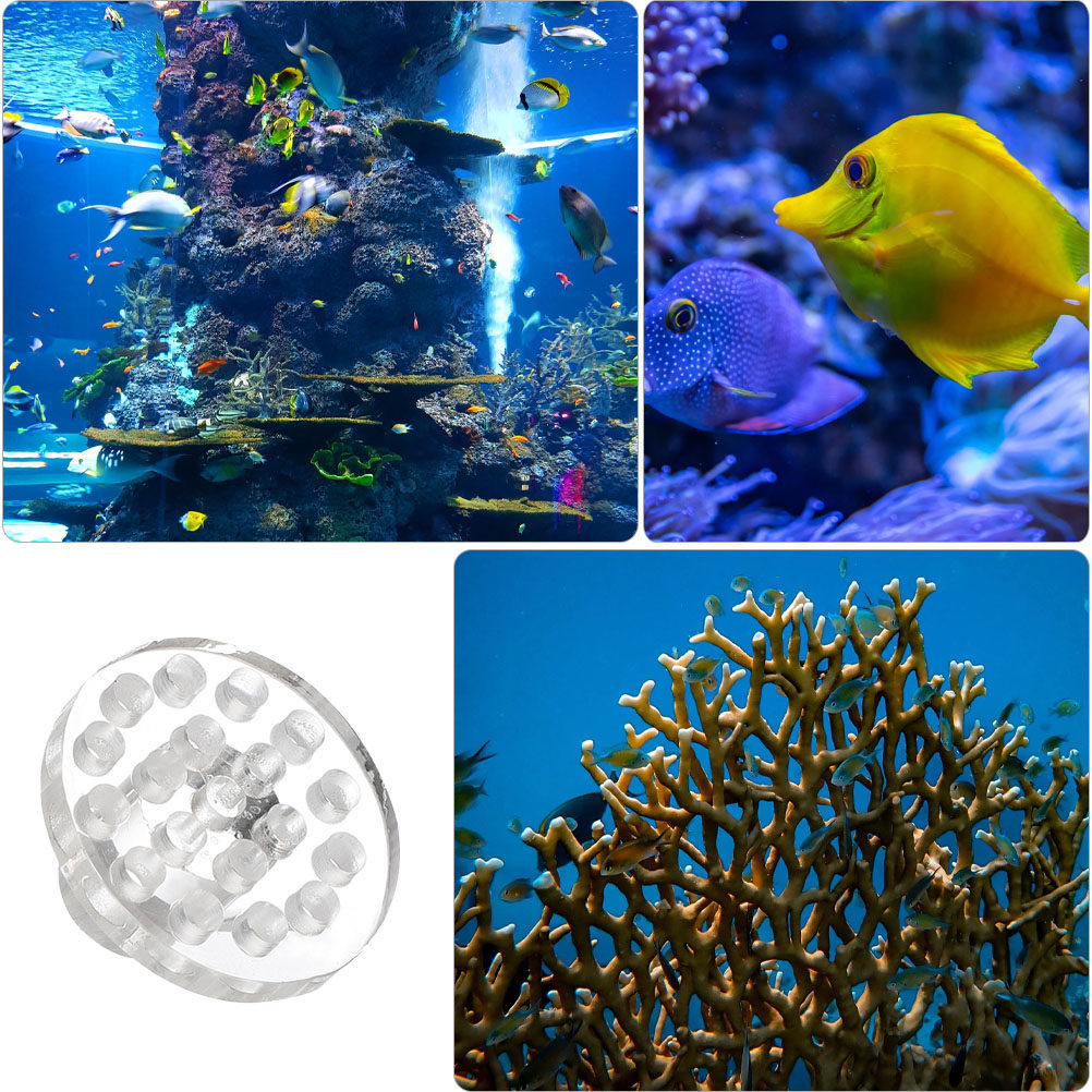 10 шт. акриловых круглых прозр – обзор и цена Aquarium Fish And Supplies