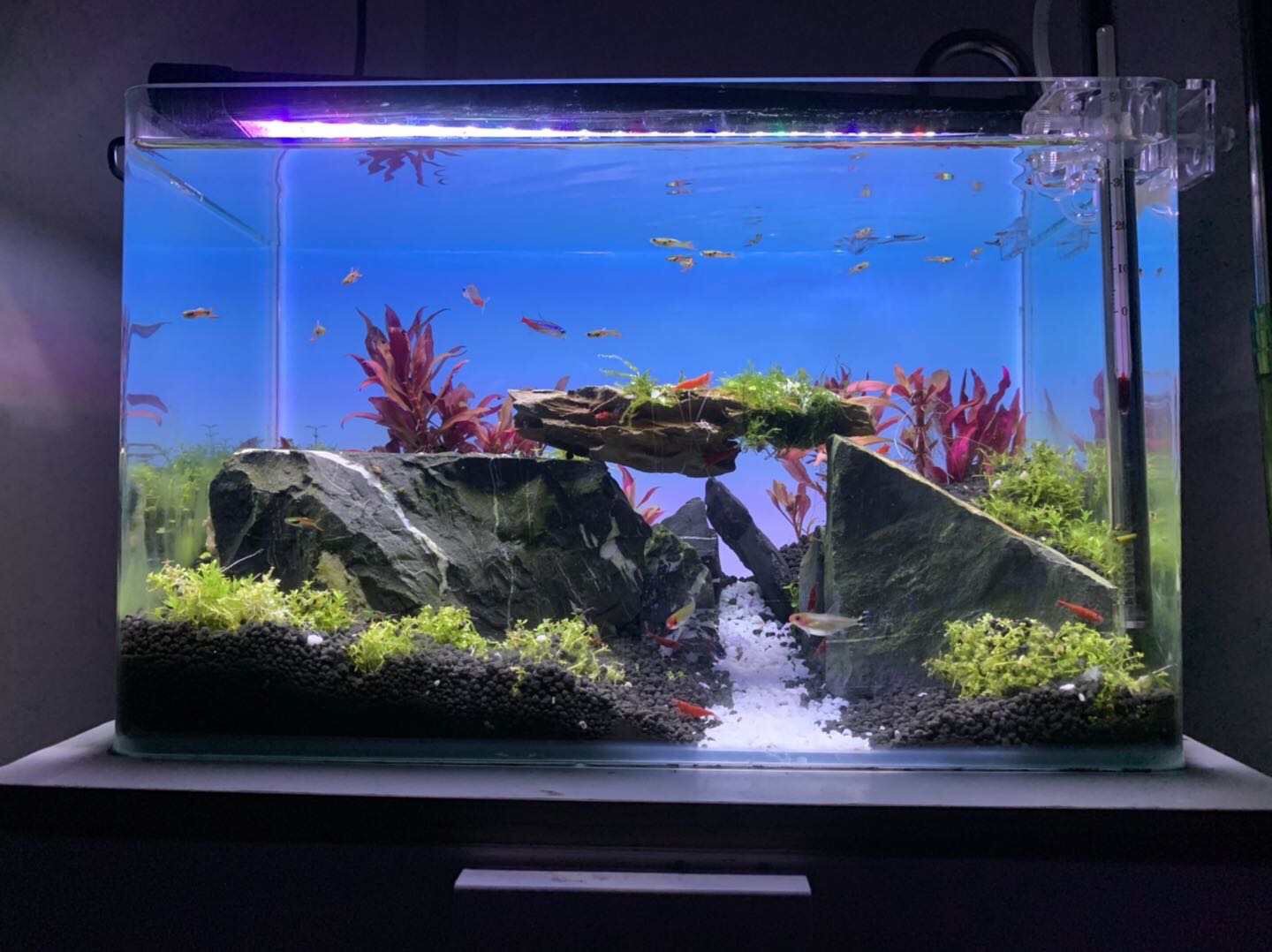 Светодиодная лампа для аквариу – обзор и цена Aquarium Fish Colorful