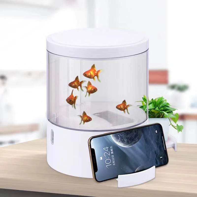 Круглые красочные фонари, наст – обзор и цена Aquarium Fish Goldfish