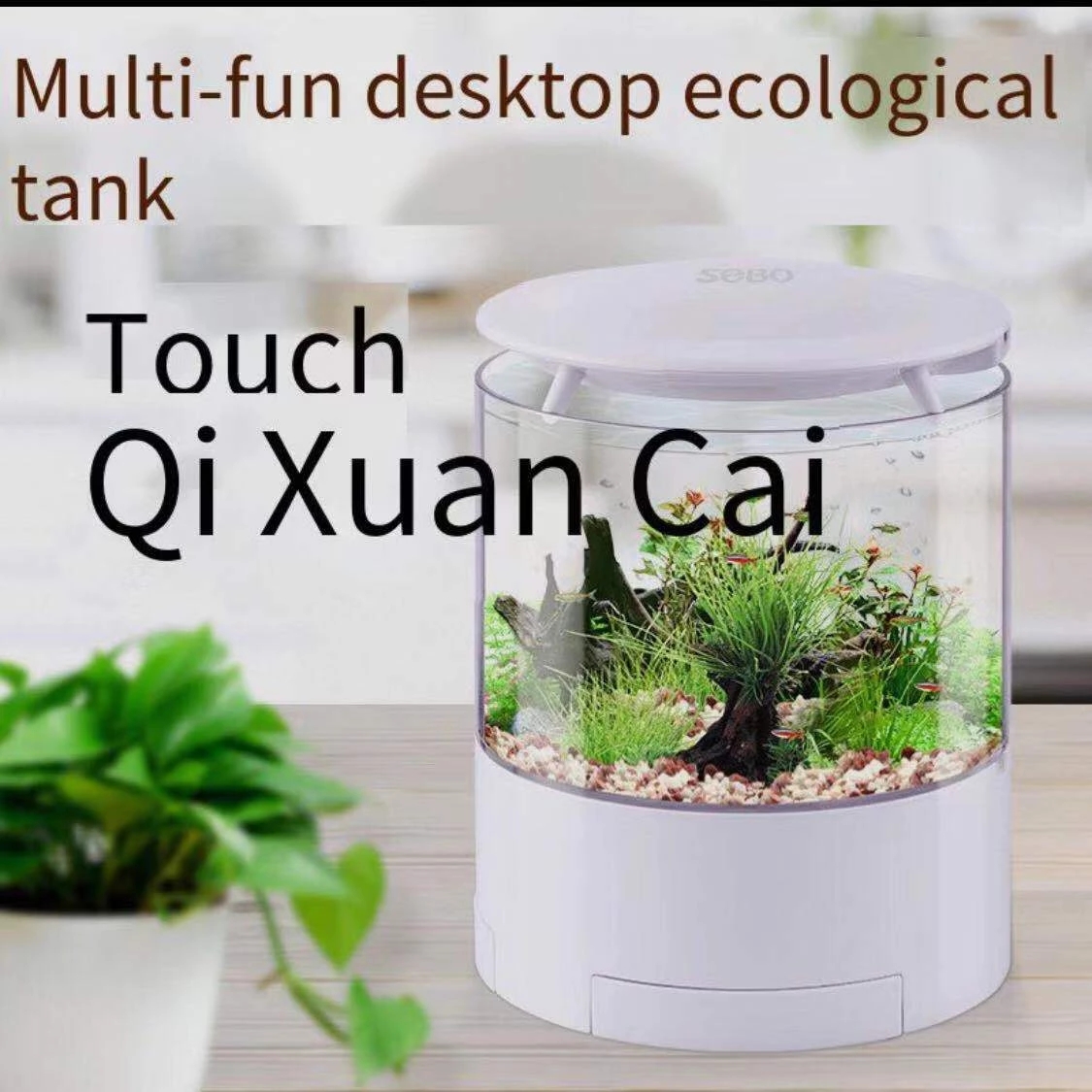 Круглые красочные фонари, наст – обзор и цена Aquarium Fish Goldfish