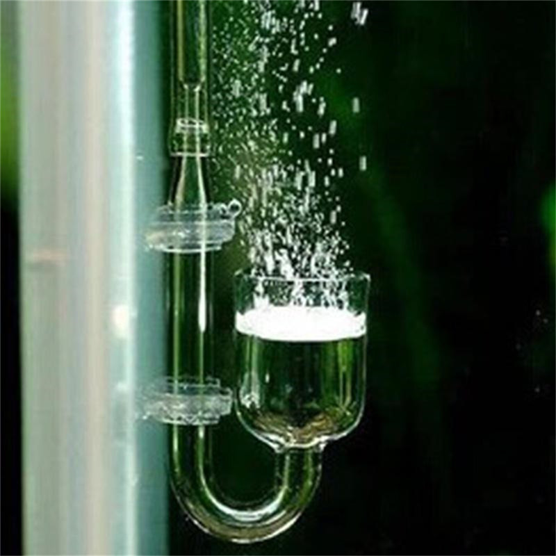 Стеклянный U-образный диффузор – обзор и цена Aquarium Fish Discus