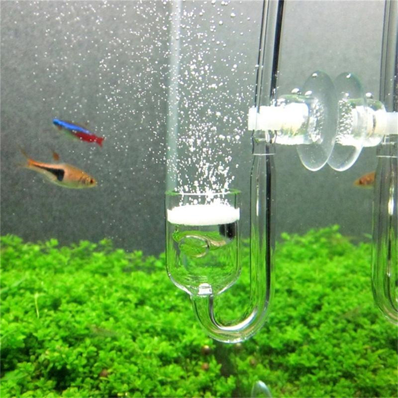 Стеклянный U-образный диффузор – обзор и цена Aquarium Fish Discus