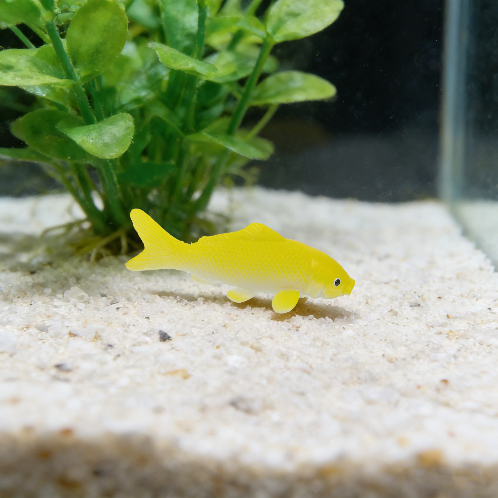Набор из 3 реалистичных пласти – обзор и цена Aquarium Fish Goldfish