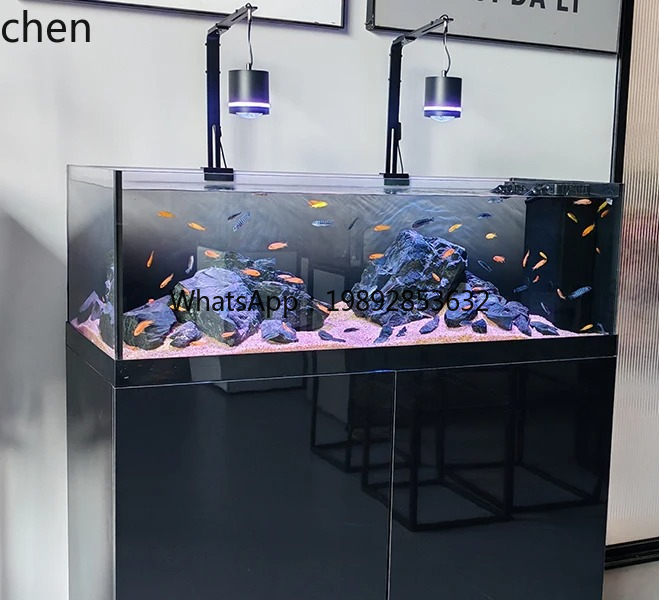 Stream Tank Native Wild Collec – обзор и цена Wild Aquarium Fish