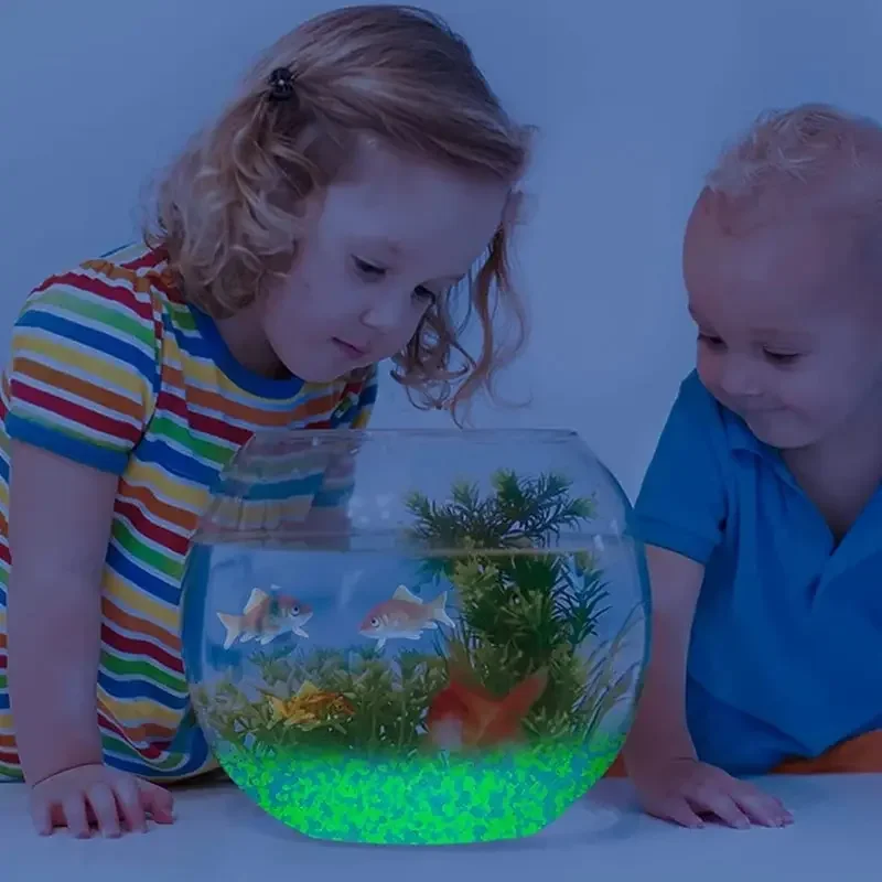 1000 шт. 3-5 мм светящийся пес – обзор и цена Aquarium Fish House