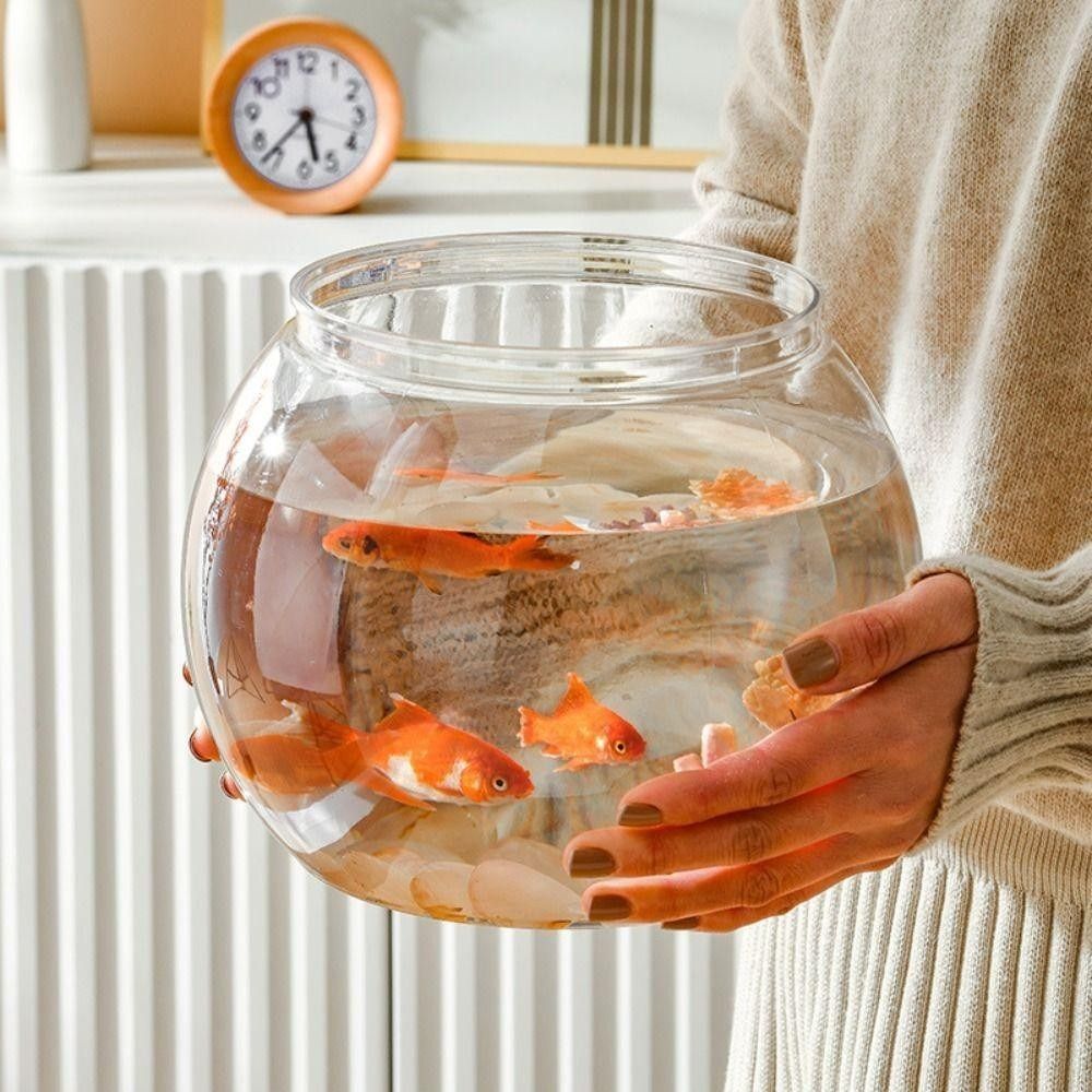 Портативный прозрачный аквариу – обзор и цена Aquarium Fish Goldfish