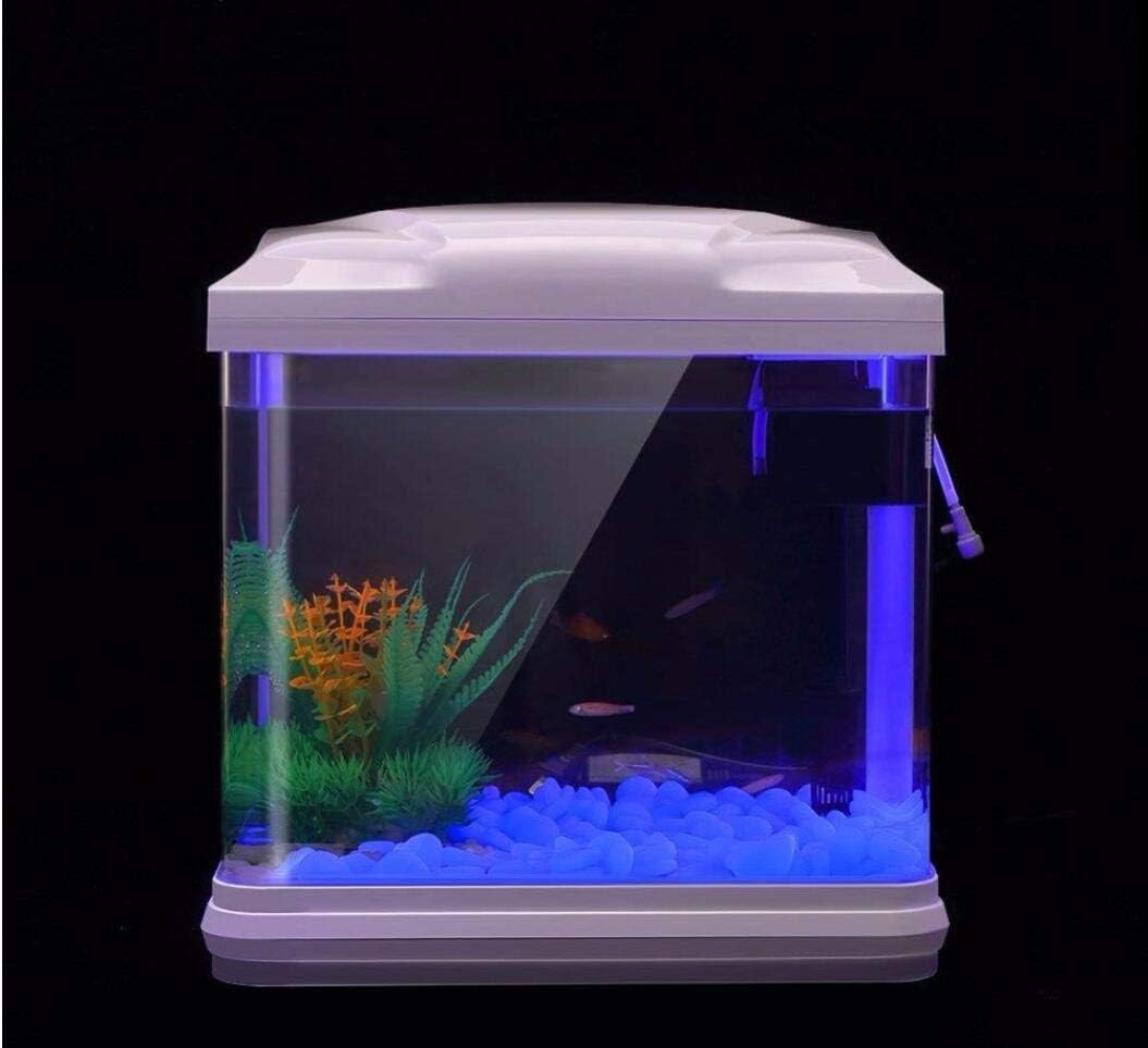 Скели для аквариума, светящиес – обзор и цена Aquarium Fish House