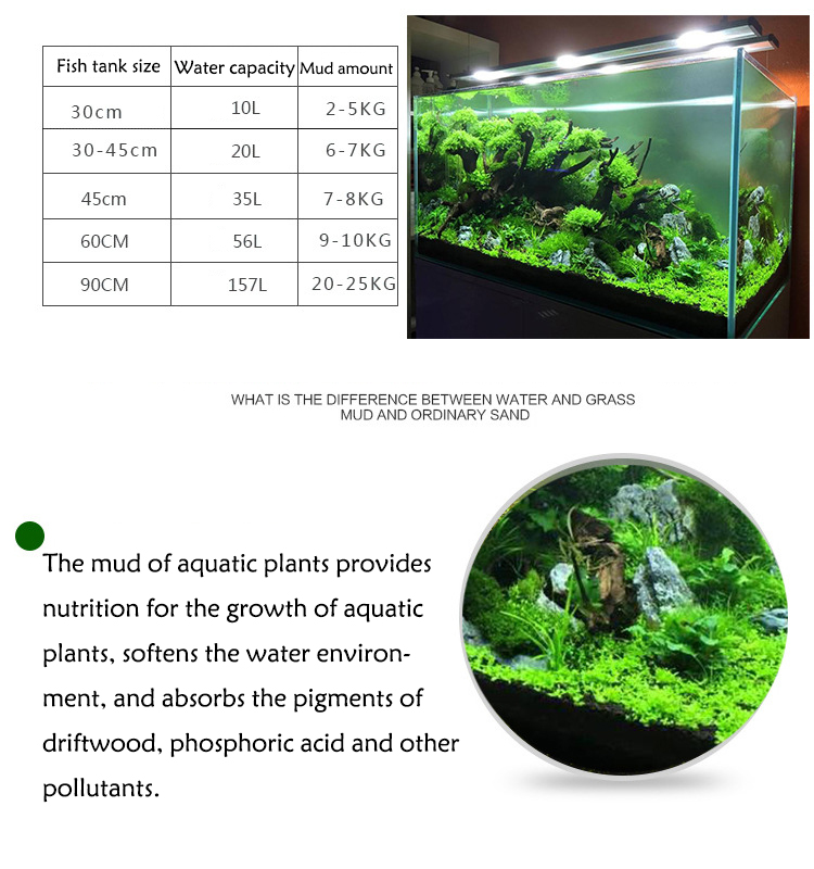 Семена аквариумных растений, п – обзор и цена Aquarium Fish Accessories