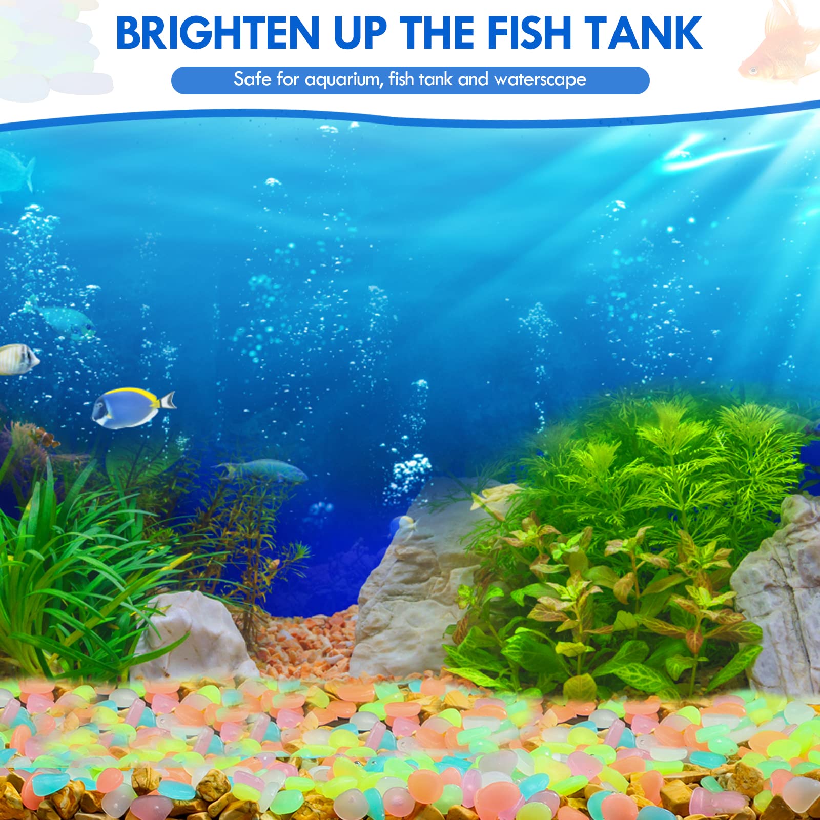 100 шт. светящиеся в темноте с – обзор и цена Aquarium Fish House
