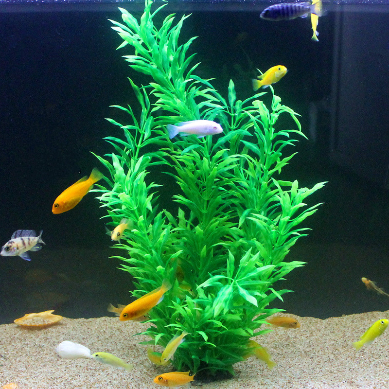 50 см искусственный аквариум р – обзор и цена Aquarium Fish House