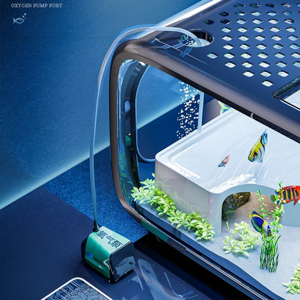 Прозрачный роскошный аквариум, – обзор и цена Aquarium Fish Goldfish